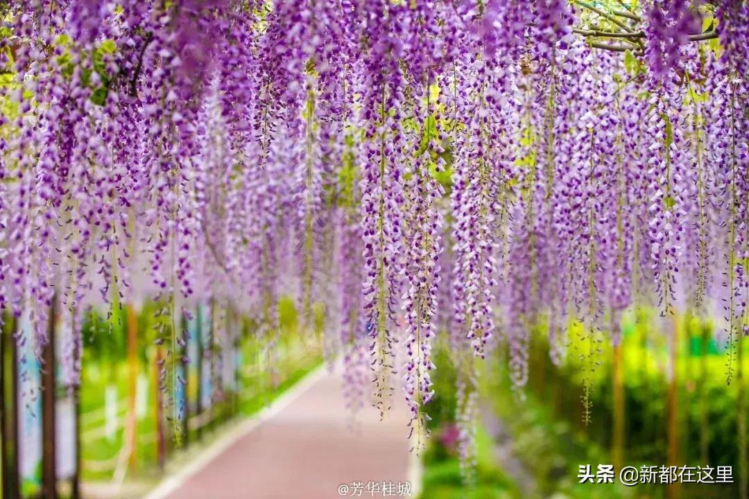 这才是9月最值得去的地方,4月最值得去的地方