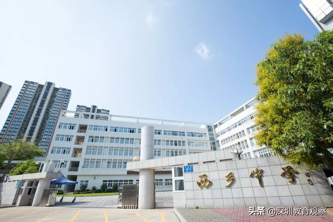 走名校vol.14|西乡中学：50年，我们专注做一件事