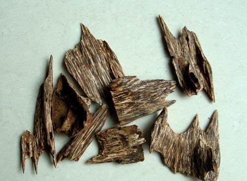 本草沉香作用,中药的沉香的功效