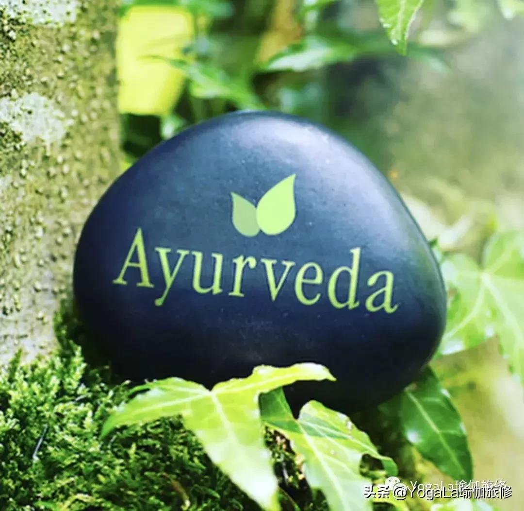 YogaLa2019印度南部阿育啡陀认证课程+排毒解压之旅