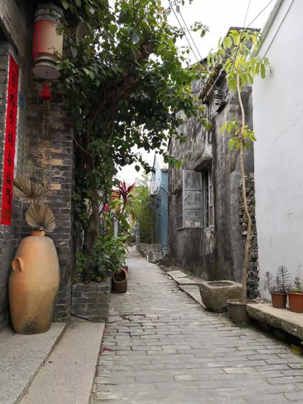 手拍世界,手拍世界近期作品