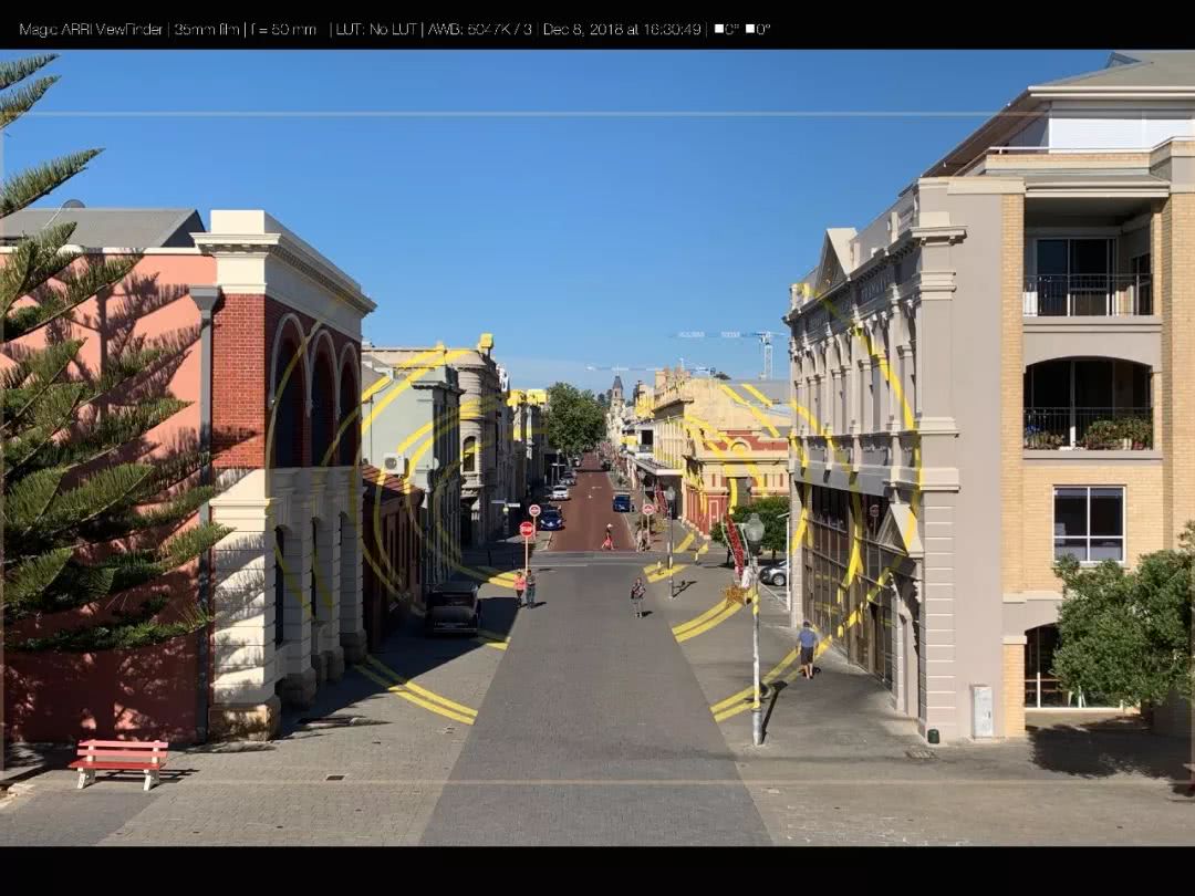 这地方是男人天堂,我们的大宝马也怕了