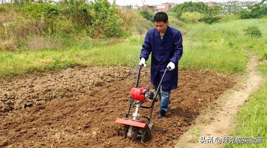 自制60天自动浇花器好看又美观,怎么用医用输液管自制浇花器