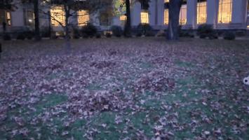 一大群机器狗后空翻给猎豹看,一群机器狗上街视频