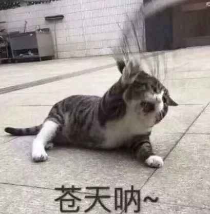 睡着后队友就被绑架？让你见识下对玩家们恶意满满的游戏吧