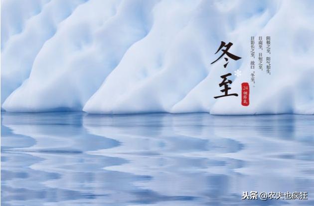 数九寒天数九在哪开始,数九寒天今天是第几天