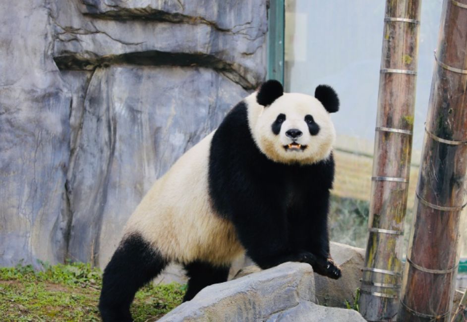 推荐最好玩的乐园,有没有值得玩的地方推荐一下