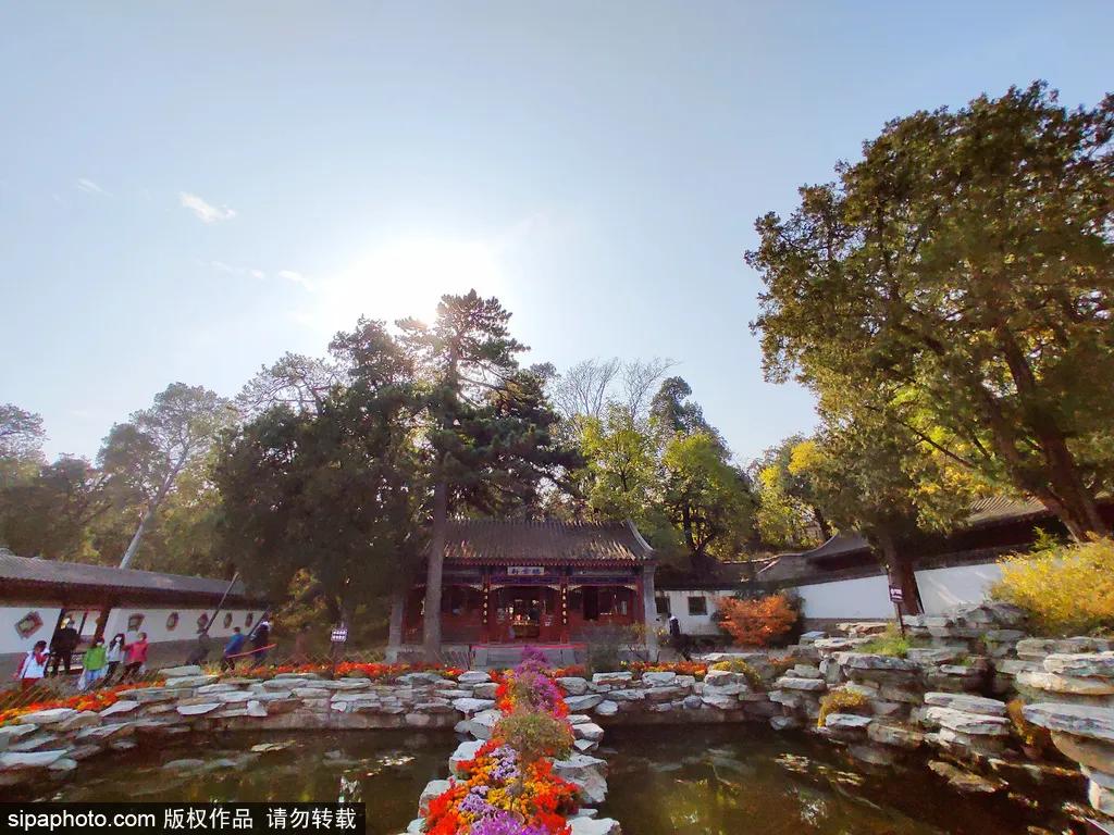 北京春季哪个公园值得去,北京十大免费公园哪些好玩