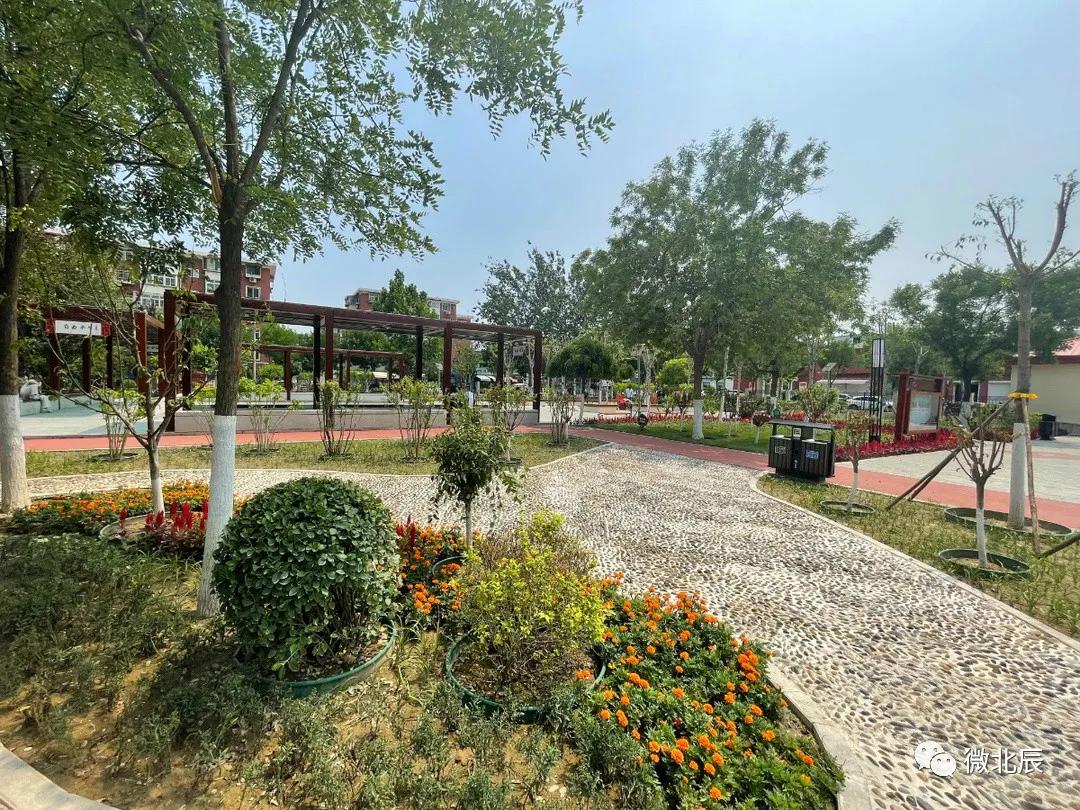 明珠公园二期,明珠公园改造