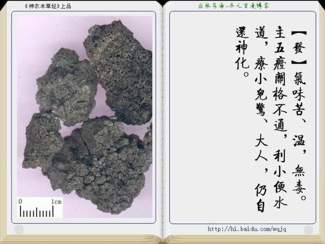 本草纲目中药讲解视频,本草纲目中药图谱及药理讲解