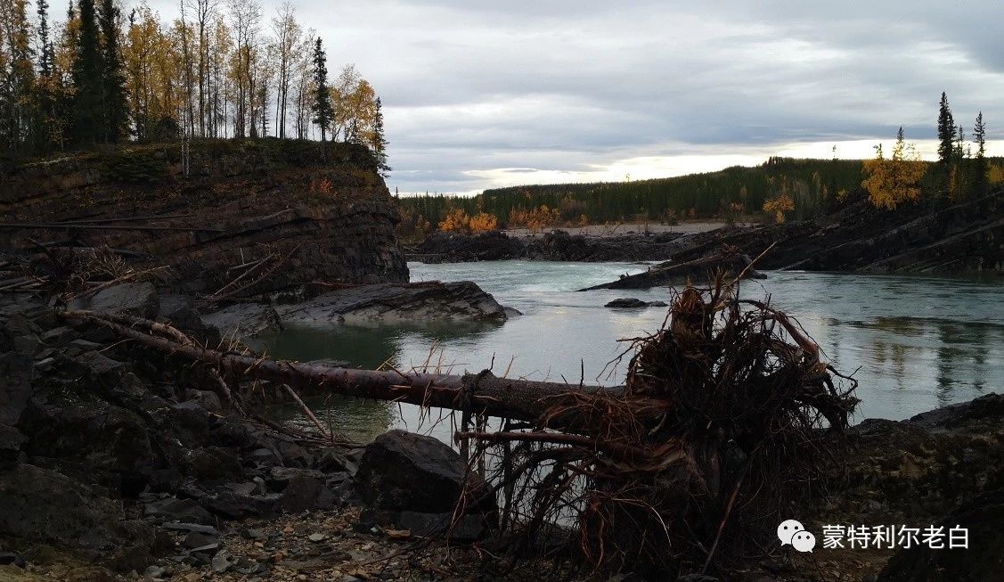 跟着老白行走加拿大，育空Watson Lake、BC省Northern Rockies