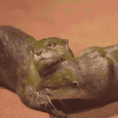 超详细迪拜旅游攻略完整版,迪拜旅游攻略及玩法