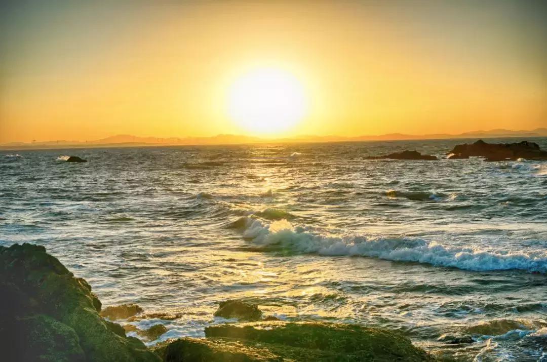 北方冬季适合吃的海鲜,北方冬天适合去的海滨小城