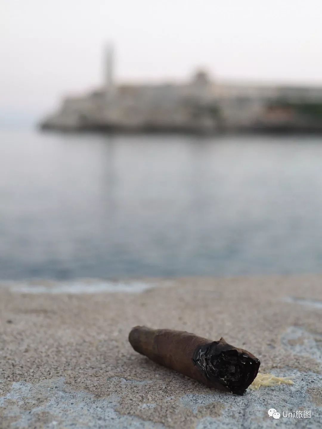 摄影虚焦拍摄技巧,如何在摄影时避免失焦