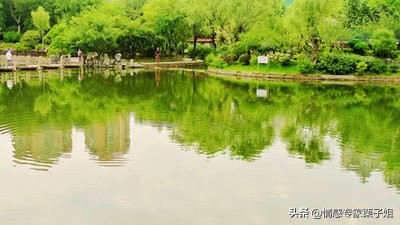 情感咨询|栗子姐每日情感问答(0330)