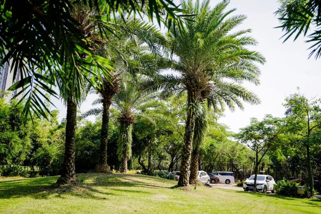 顺德十大隐蔽餐厅,顺德隐藏的餐厅