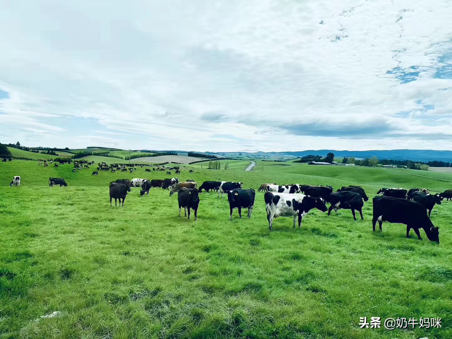 越来越多的宝妈在抖音创业,越来越多的宝妈选择了创业靠自己