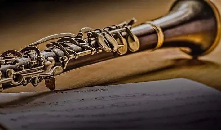 十大适合新手的乐器,所有乐器里哪个最有气质