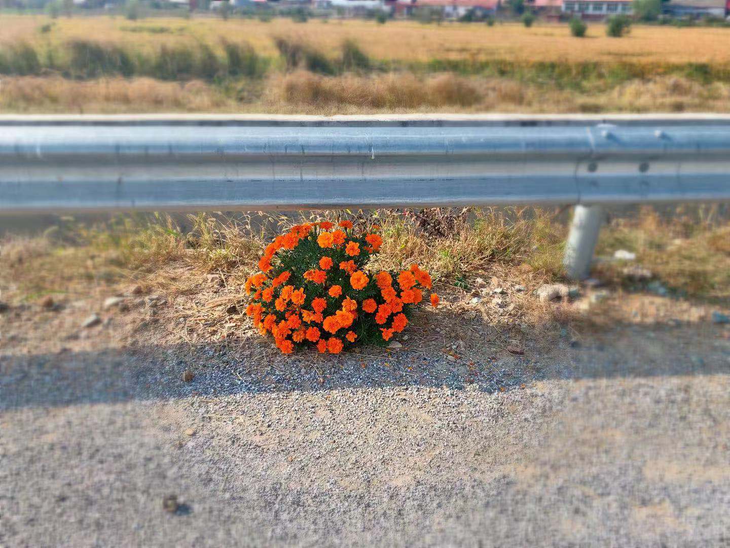 农村7岁小孩在做什么,7岁男孩回家玩什么