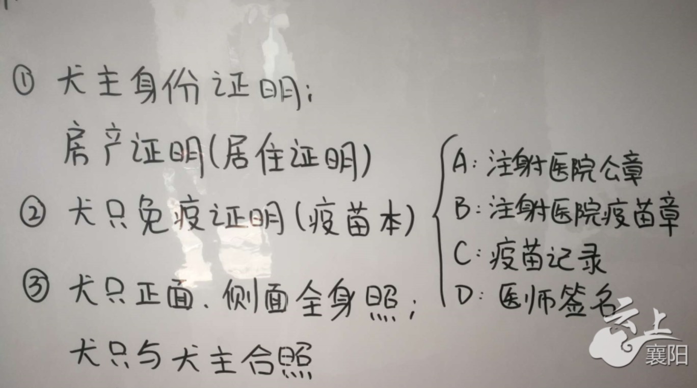 为啥狗狗打完疫苗没有抗体,襄阳办狗证狗狗没打疫苗