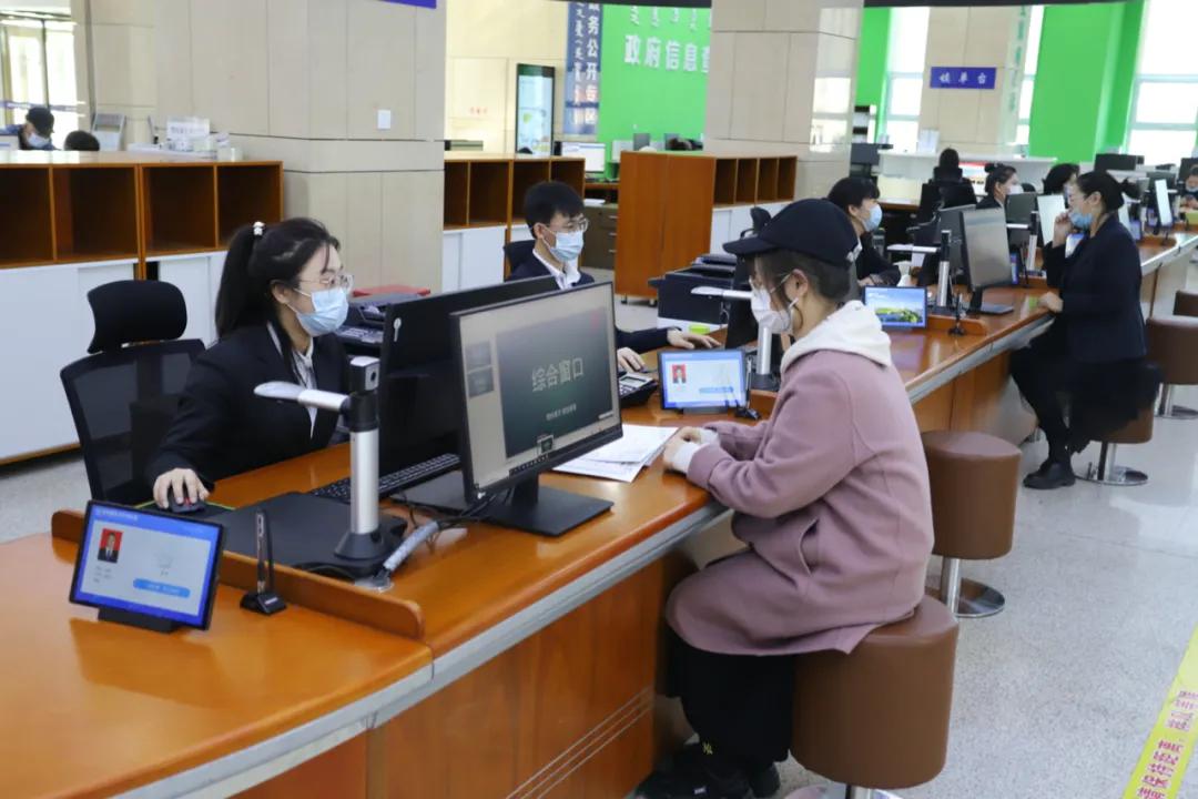 办理林草相关手续,林草证办理