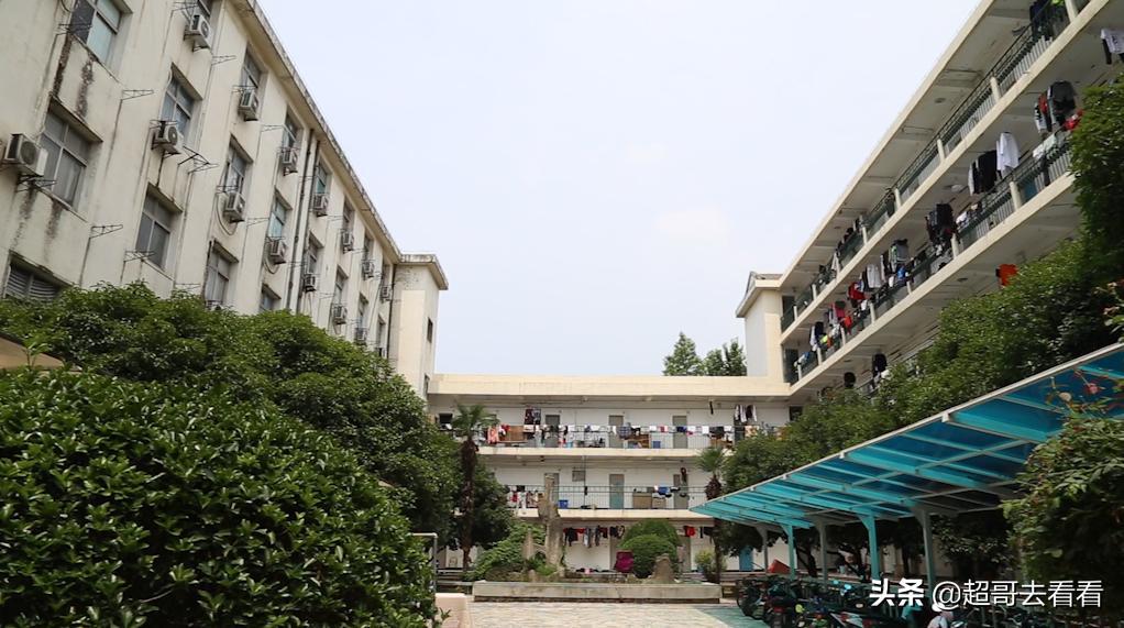 武汉体育学院最强学科,武汉体院排名