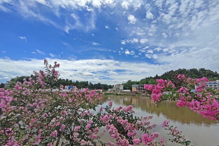 涔愯嚦鑽疯姳鎽勫奖浣滃搧娆ｈ祻,涔愯嚦鍗拌薄鎽勫奖