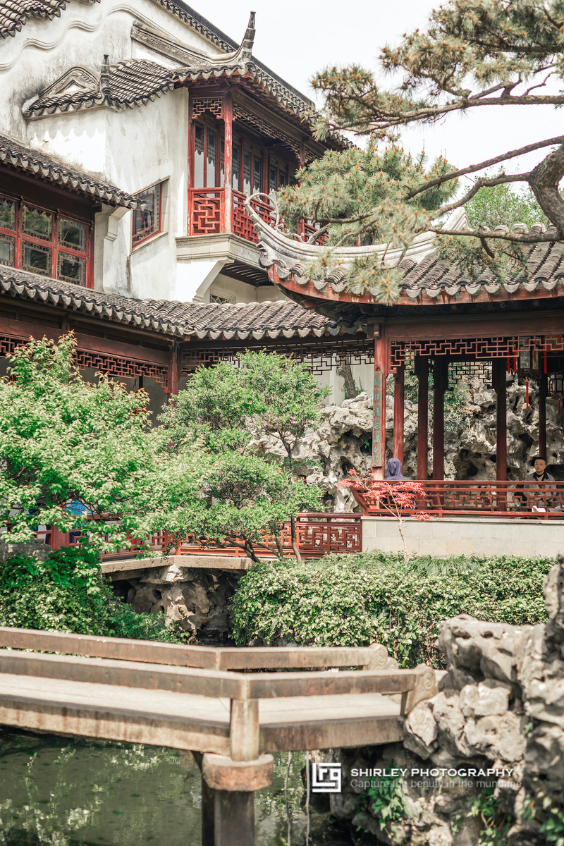 苏州旅游最不能错过的江南园林,留园拙政园是苏州著名的园林