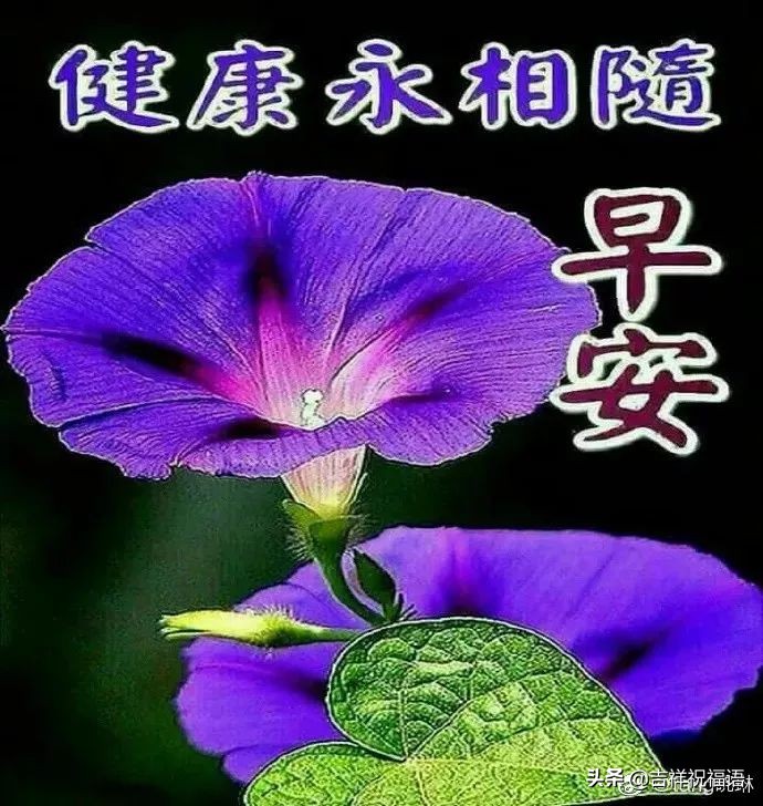 微信祝福语早上好简短精辟,微信祝福语早上好简短独特句子