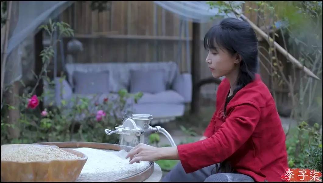 李子柒田园生活的魅力在哪里,当李子柒看到了不一样的田园生活