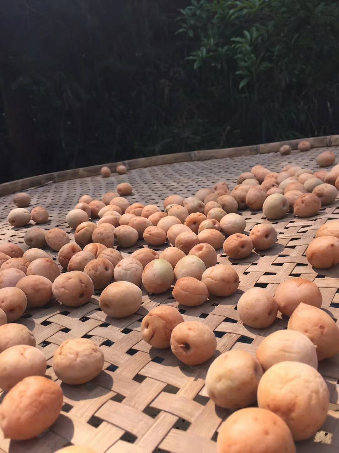 青梅干蜜饯的制作,青梅腌制成酸梅干