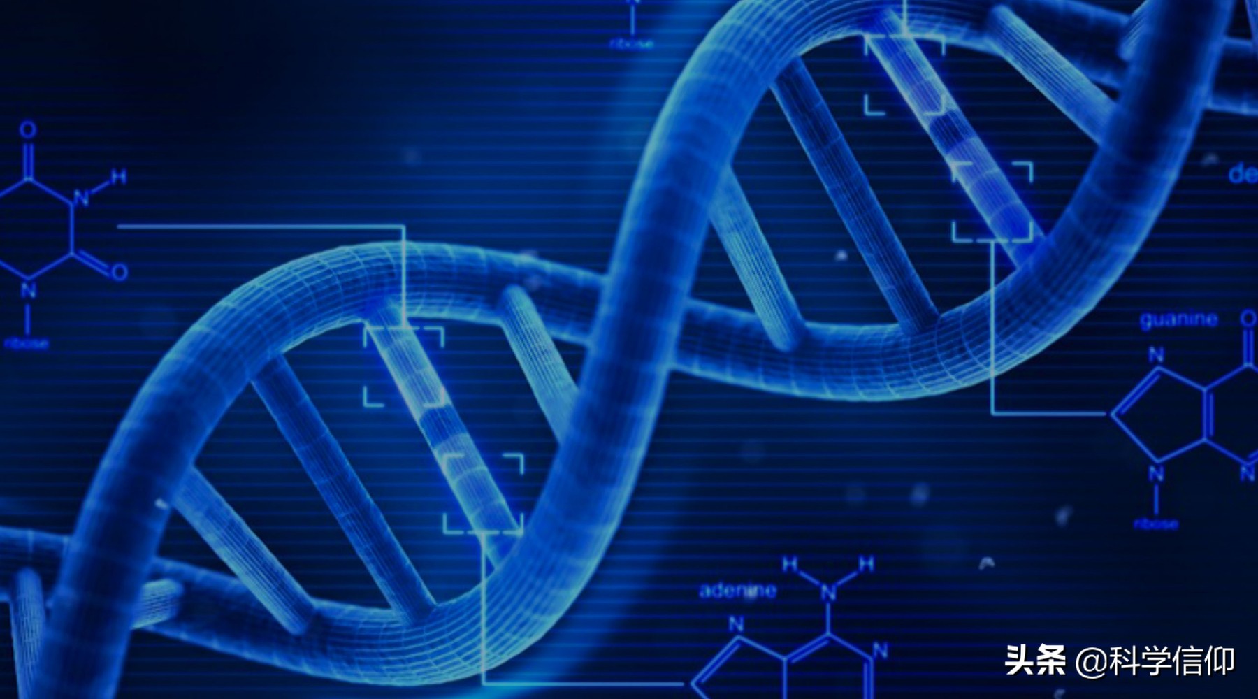 人类如何通婚后代,为什么人类要结婚延续后代