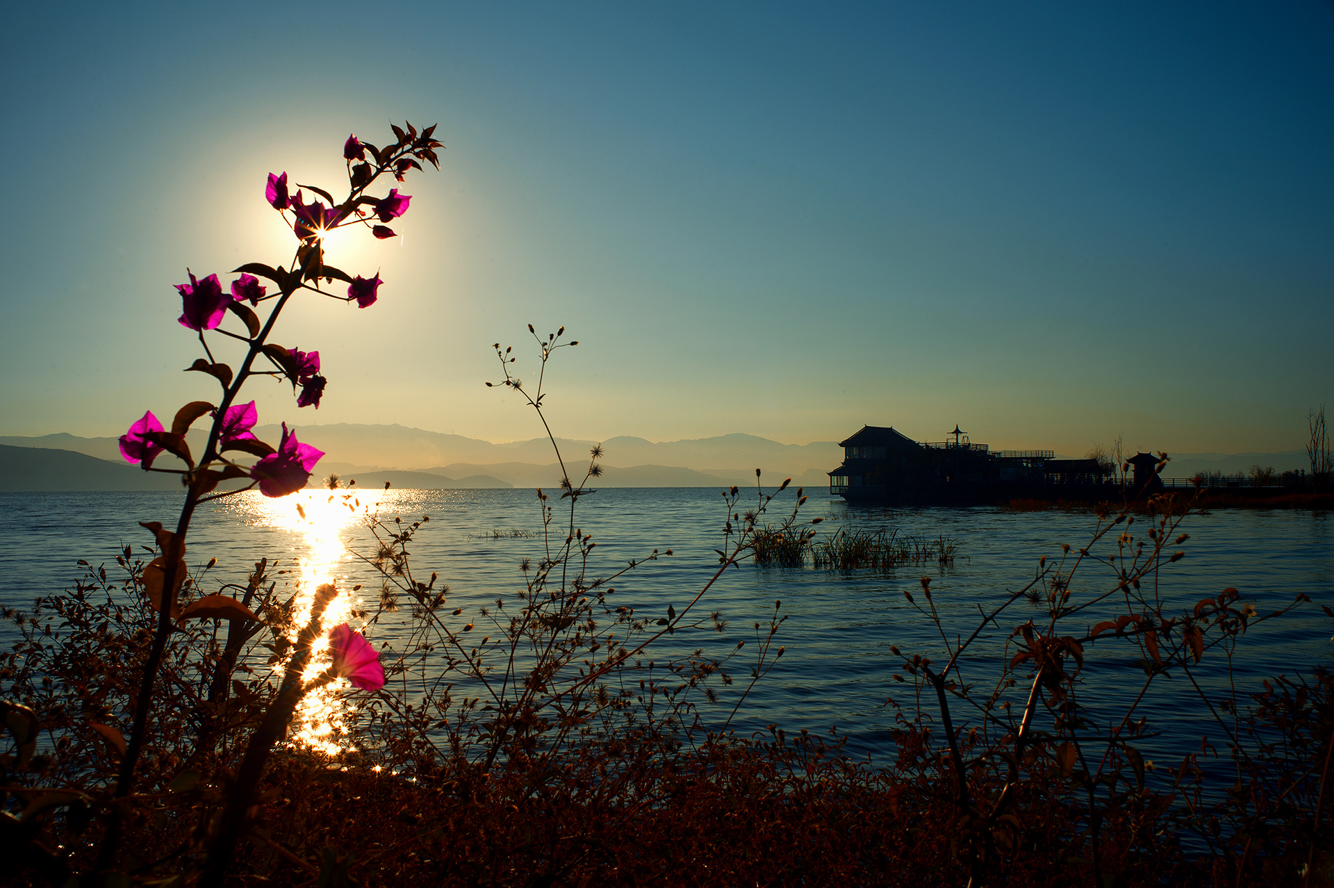 2023腾冲看银杏最佳时间,腾冲看银杏树旅游攻略