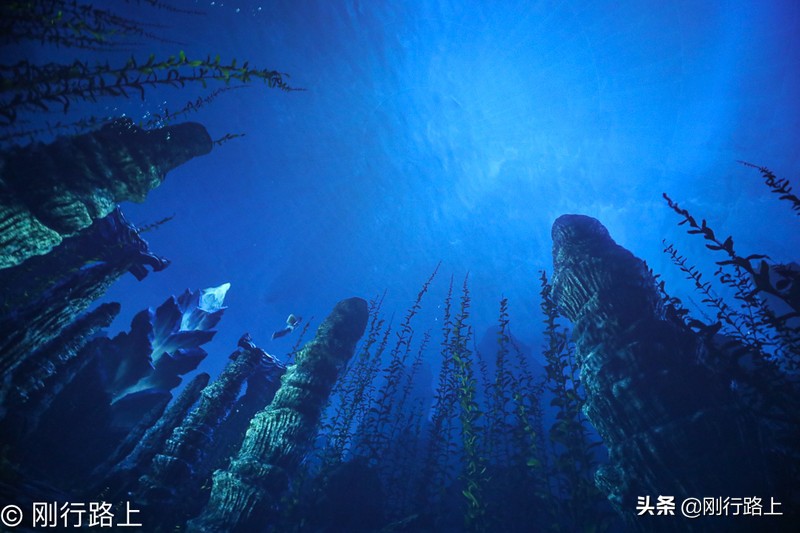 长沙儿童游乐园排行榜前十名,长沙游乐主题乐园