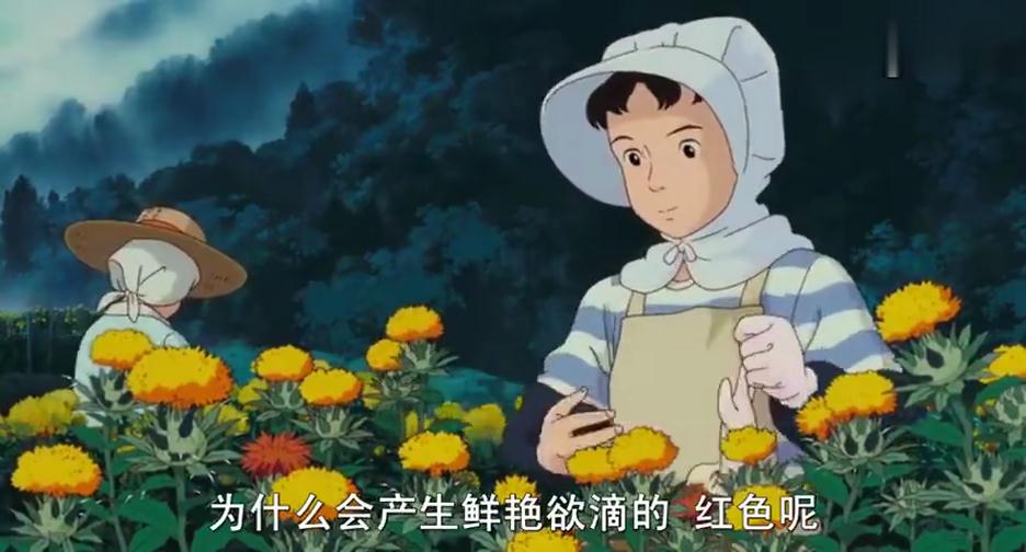 宫崎骏笔下的红花到底是个怎样的植物？