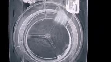 董明珠好美,快看财经董明珠