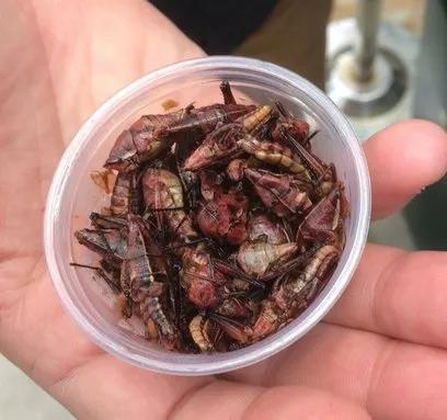 一根藤上七个瓜，今天跟你818