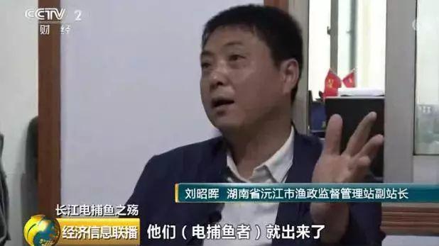 刑法规定的禁止使用捕鱼方法,非法捕鱼为什么屡禁不止