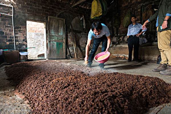 古代人怎么发明酒曲,古人酿酒的酒曲是什么做的