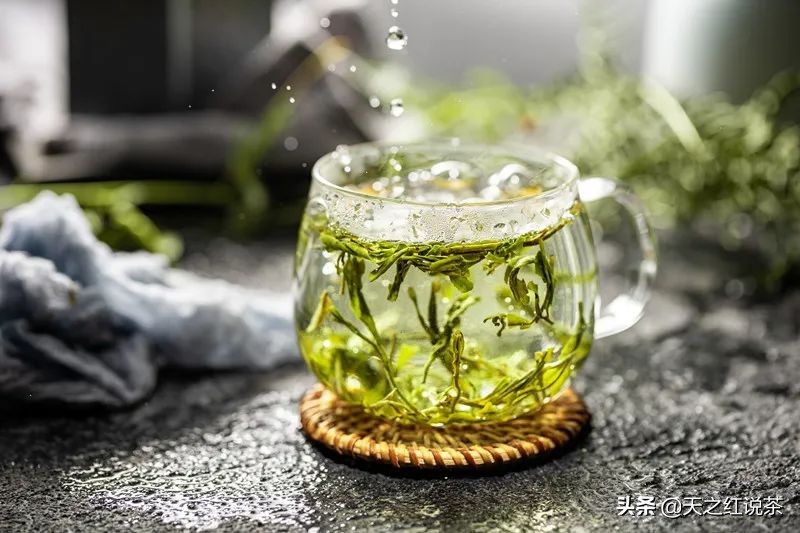 喝春茶的人生感悟,喝春茶的意境诗句