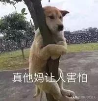 兰蔻卢浮宫圣诞限定款,兰蔻绝美红丝绒限定