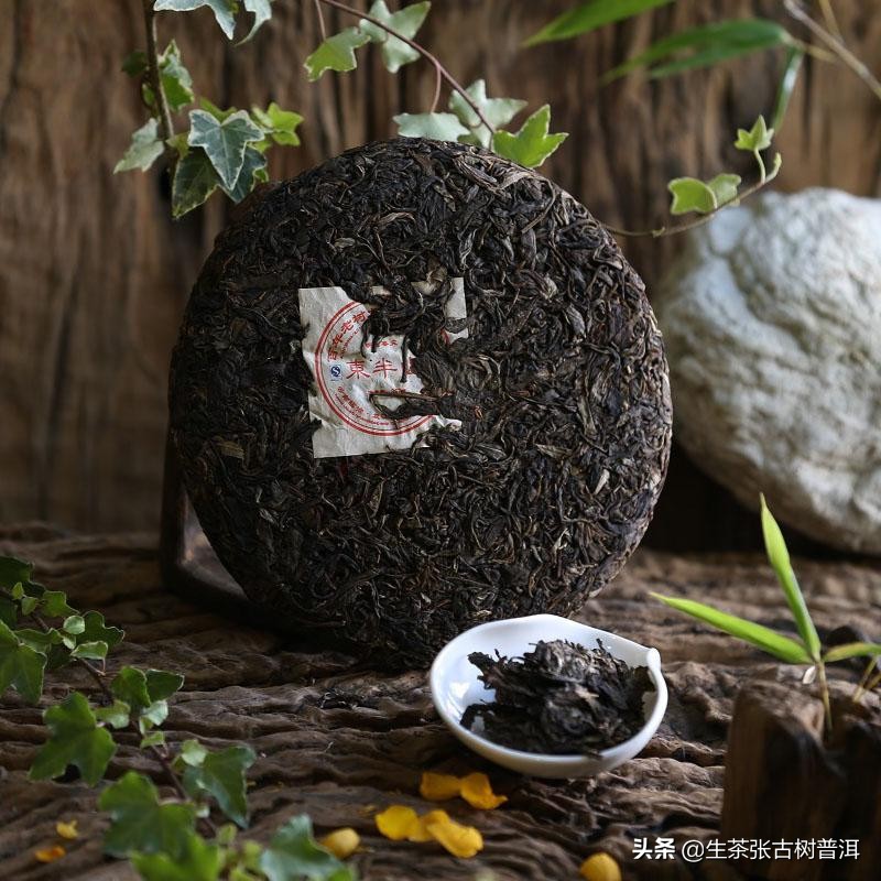 临沧普洱茶茶山介绍,走进勐海茶厂了解前世今生