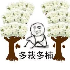 这几天的松江，可真叫人左右为“楠”……