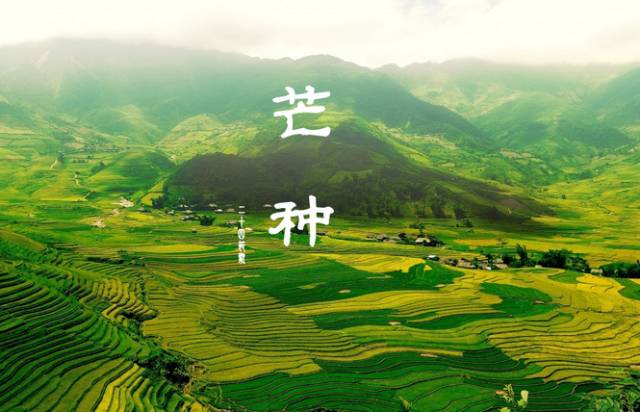 “百毒之月”，一年中最危险的日子