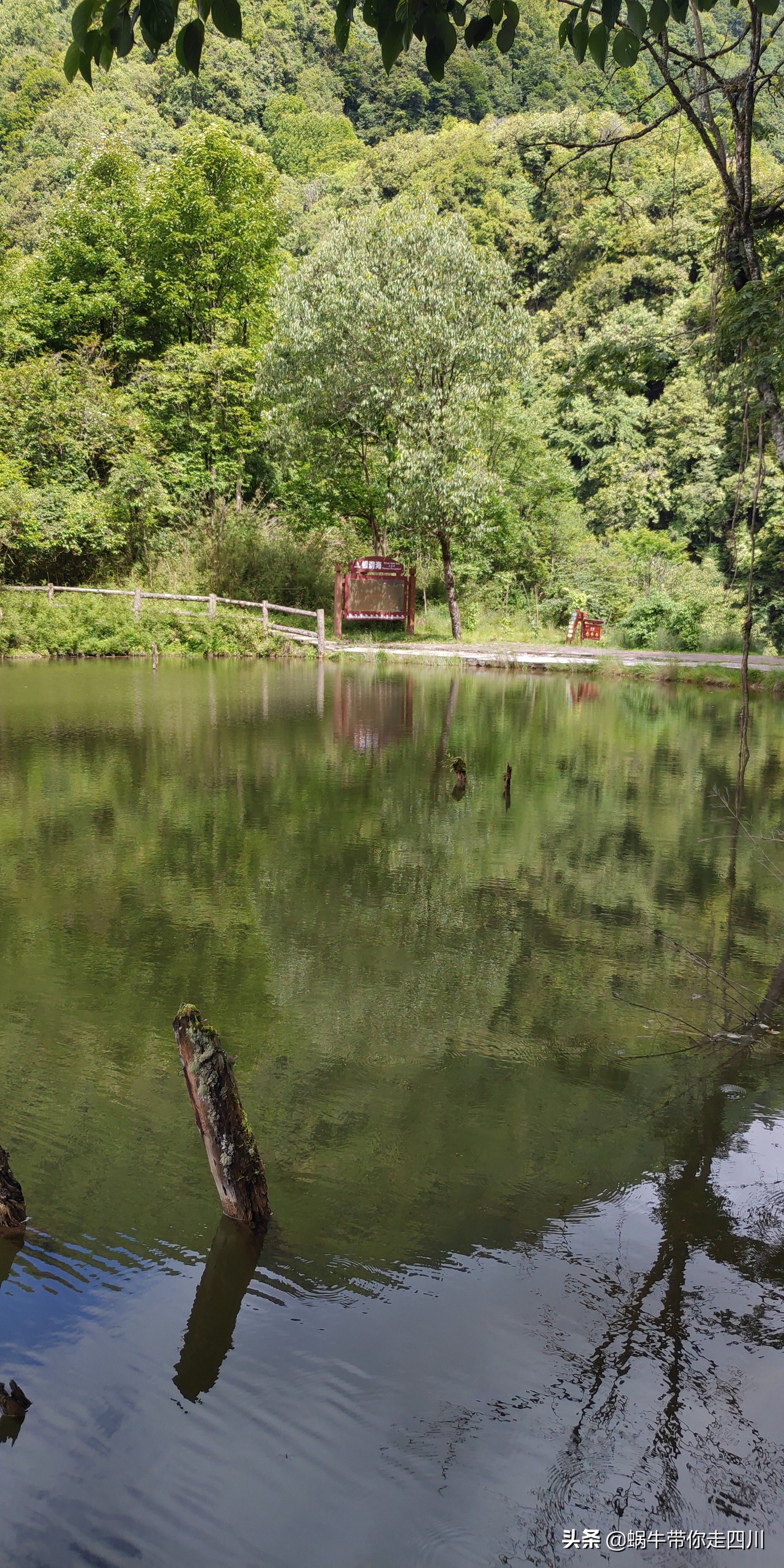 一家三口重庆到拉萨旅游攻略预算,一家三口成都去拉萨大概要多少钱