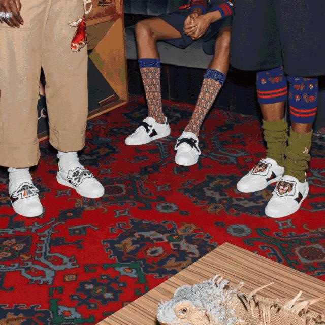 灏忕櫧闉嬩綘杩樺湪绌垮悧,灏忕櫧闉嬭鑵愯殌