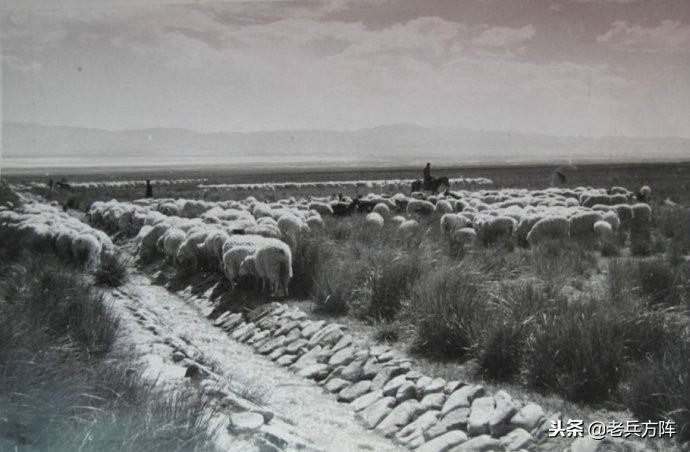 五十年代至七十年代人民公社,6070年代人民公社