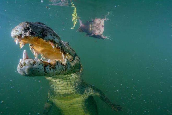 世界上最大的咸水湖英文,世界最大的咸水湖是什么