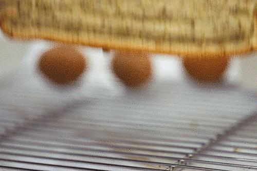 体育西蛋糕,体育西比较出名蛋糕