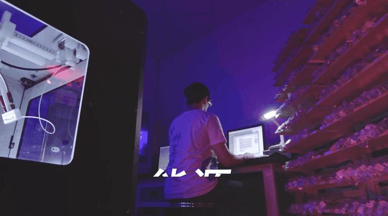 个人如何助力建设科技强国,建设科技强国基础工程